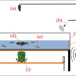 Current Version Of The Fishbot Used For Mimicking Fish Motion Patterns