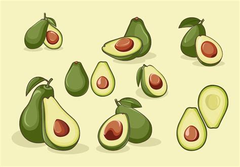 Premium Vector Avocado Fruit Set Vector Illustration