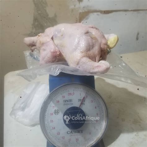 Alimentation Poulet De Chair Au S N Gal Coinafrique S N Gal