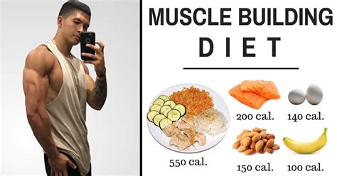 Top Five Foods That Help Build Muscle Bodydulding