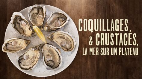 Coquillages Et Crustac S La Mer Sur Un Plateau Documentaire En Replay