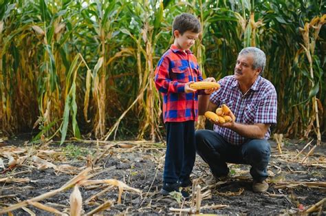 L Agriculture Familiale Le P Re Et Le Fils Des Agriculteurs