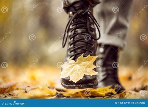 Het Gele Blad Plakte Aan De Schoen Van De Vrouwen Tijdens Een Gang Door