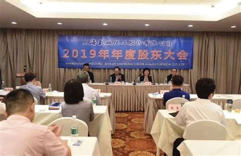 公司召开2019年度股东大会 选举产生第十届董事会监事会及独立董事议案