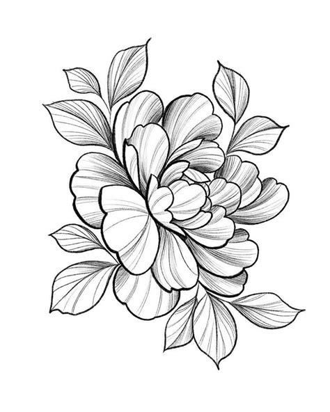Peony Tattoo Designs Sketches Encourage Column Photos