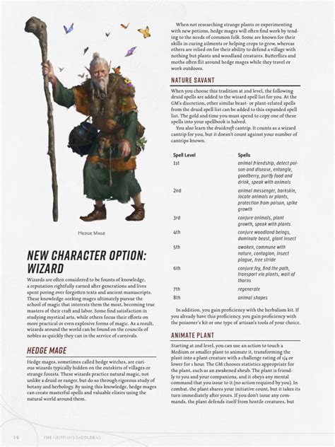 New Character Option The Hedge Mage Wizard Pdf Magician Fantasy