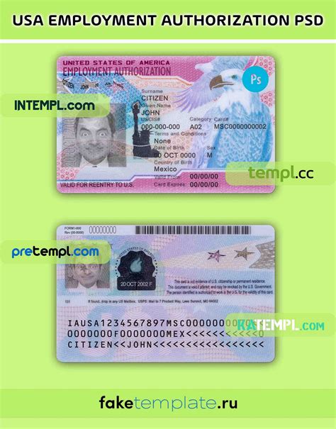 United States Employment Authorization Card Psd Download Template Intempl Medium