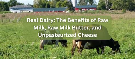 Real Dairy The Benefits Of Raw Milk Raw Milk Butter And