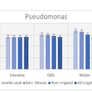 Histological Section Of Gills Of Nile Tilapia Oreochromis Niloticus