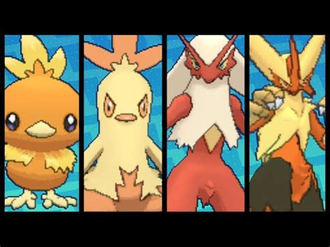 Torchic Evolution Chart