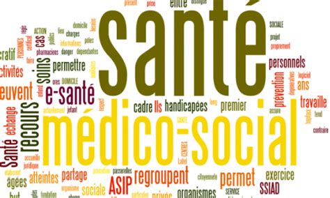 Pelenitse Spécialiste Dans Le Secteur Sanitaire Et Médico Social