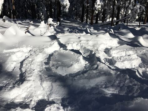 Bildet Sn Vinter Svart Og Hvit Is V R Rstid Ds