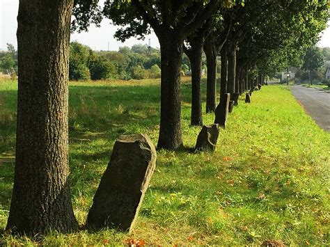 7000 Eichen Landschaftskunstwerk Joseph BEUYS