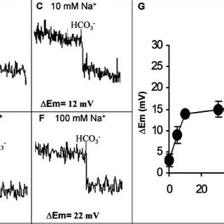 The Hco Induced Hyperpolarization Is Na Dependent Af Caudal