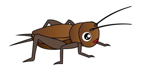 Cricket Insect Clipart Clip Art Library