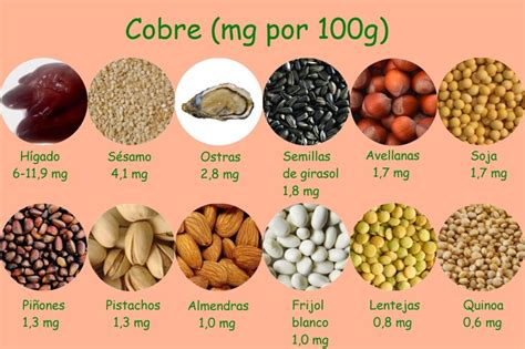 Alimentos Ricos En Cobre