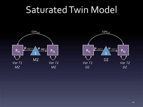 Ppt Univariate Twin Analysis Saturated Models For Continuous And