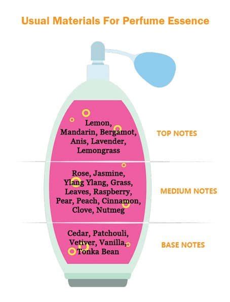 Best Perfume For Women The Ultimate Guide To Choosing Right Perfume