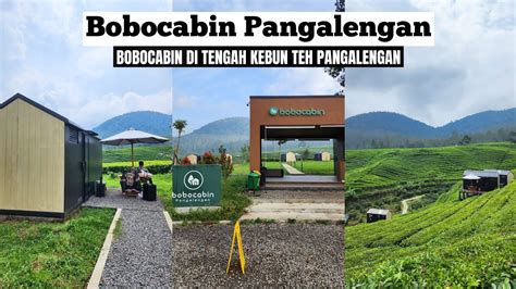 BOBOCABIN PANGALENGAN Bobocabin Di Tengah Kebun Teh Pangalengan