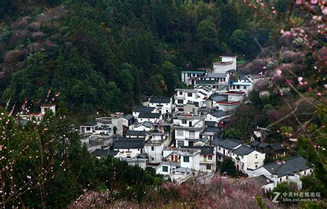 歙县卖花渔村 中关村在线摄影论坛