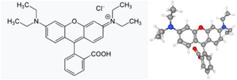 Applications Of Rhodamine B Chemicalbook