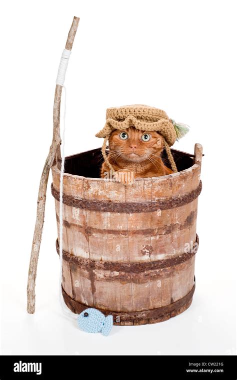 Cat Fishing Pole Hi Res Stock Photography And Images Alamy