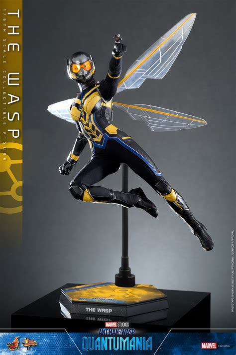 Ant Man And The Wasp Quantumania Hot Toys Ant Man And Wasp Figures The Toyark News