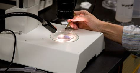 Raman Microscope | University of Maryland Center for Environmental Science