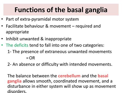 Function Of Basal Ganglia