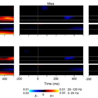 Large Scale Delta And Gamma Band Synchronization Characterizes Neuronal