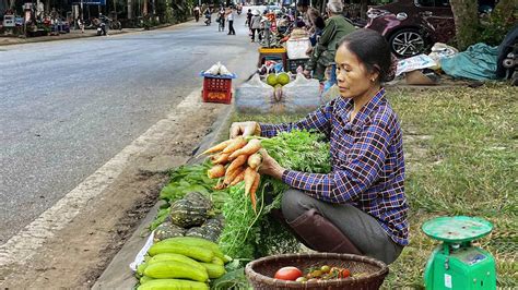 365 Days Of Planting And Harvesting Vegetables Root Crops Fruits