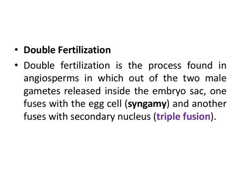 Double fertilization