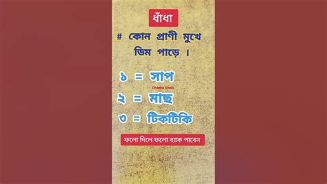 😱জিকে গুগলি কুইজ ধাঁধা বুদ্ধির প্রশ্ন ও উত্তরgk Question And Answer 🤔