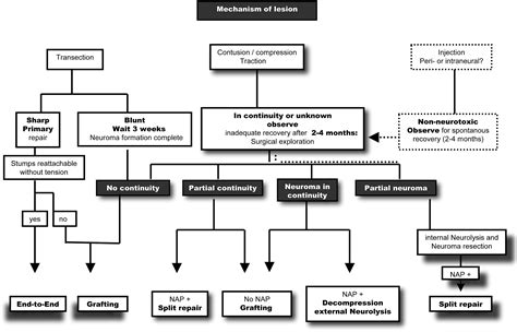 Iatrogenic Nerve Injuries Neurosurgery Clinics