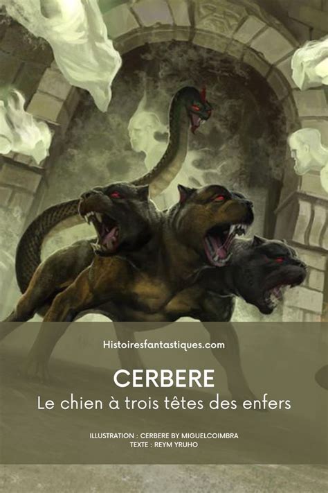 D Couvrez Cerb Re Le Chien Tric Phale De La Mythologie Grecque Qui