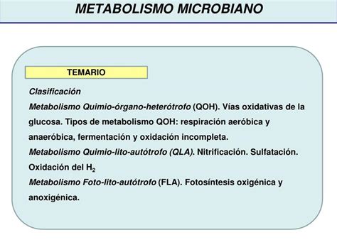 Metabolismo Breenstudy UDocz