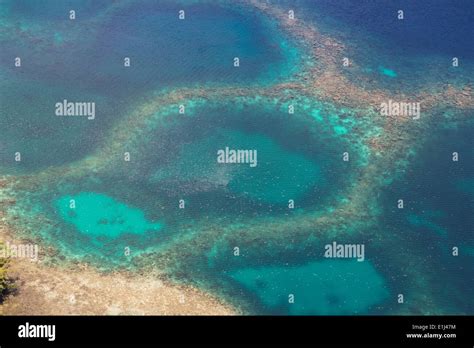 Oceania Palau Pacific Ocean Coral Reef Stock Photo Alamy