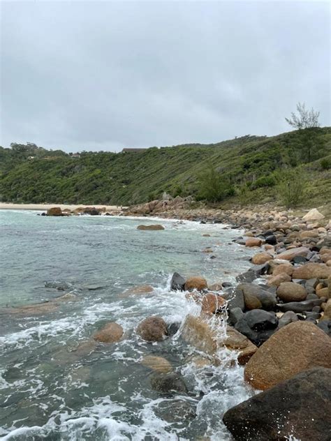 Topo Imagem Praia Do Rosa Trilhas Br Thptnganamst Edu Vn