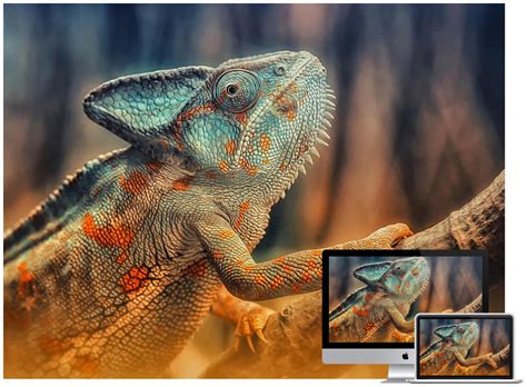 30 Amazing Wildlife And Animal Wallpapers Hongkiat