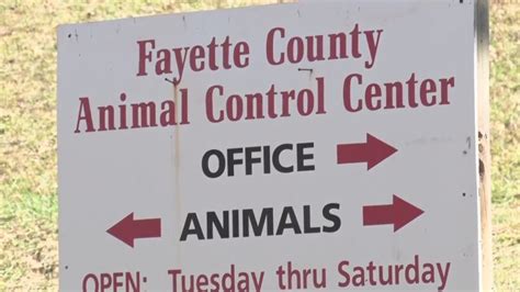 Fayette County Animal Shelter Under New Management – WVNS