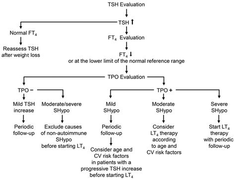 Nutrients Free Full Text Subclinical Hypothyroidism In Patients