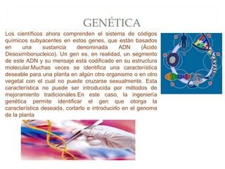 Biotecnologia Roja PPT