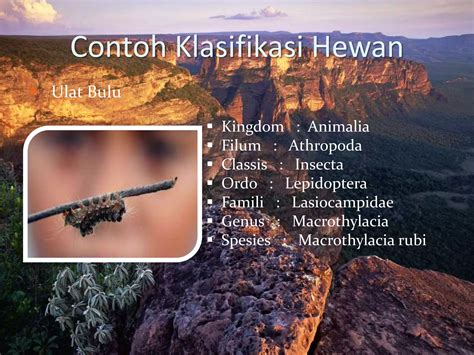 Hewan Dan Tumbuhan Purba Yang Masih Hidup Hingga Sekarang Klasifikasi