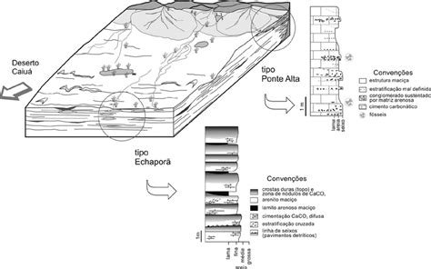 Cenário paleoambiental da porção centro norte da Bacia Bauru o