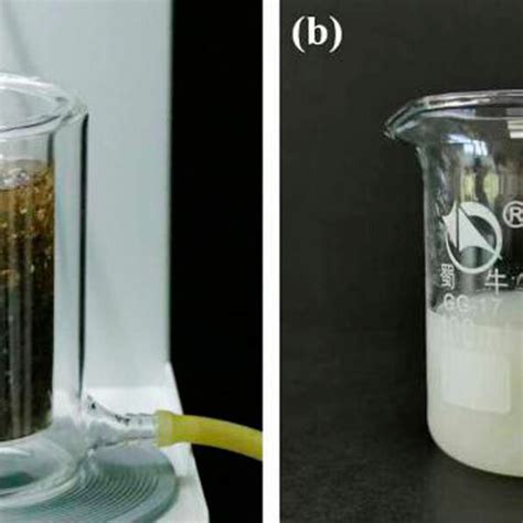 A Experimental Setup Of Direct Ultrasonic Extraction B Download Scientific Diagram