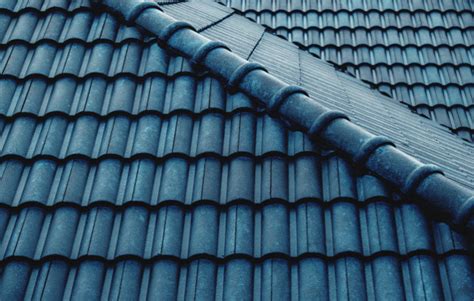 12 Types of Roof Materials: Choosing the Best Option