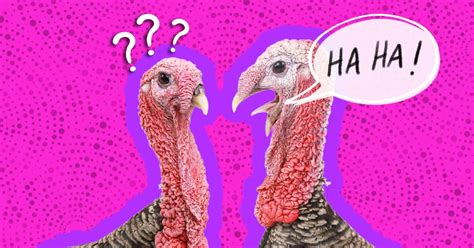 25 Turkey Jokes That Will Make Your Kid Laugh So Hard Theyll Gobble