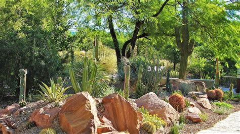 Spring Vegetable Gardening In Las Vegas Fasci Garden