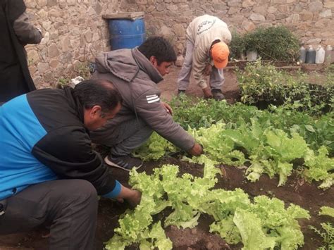 Prácticas De Manejo Sustentable De Suelos