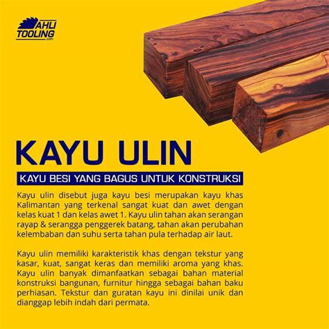 Ahli Tooling Kayu Ulin Disebut Juga Kayu Besi Merupakan
